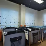 אתר נופש Pine 5*