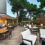 Pine 5*