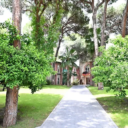 Pine Complex